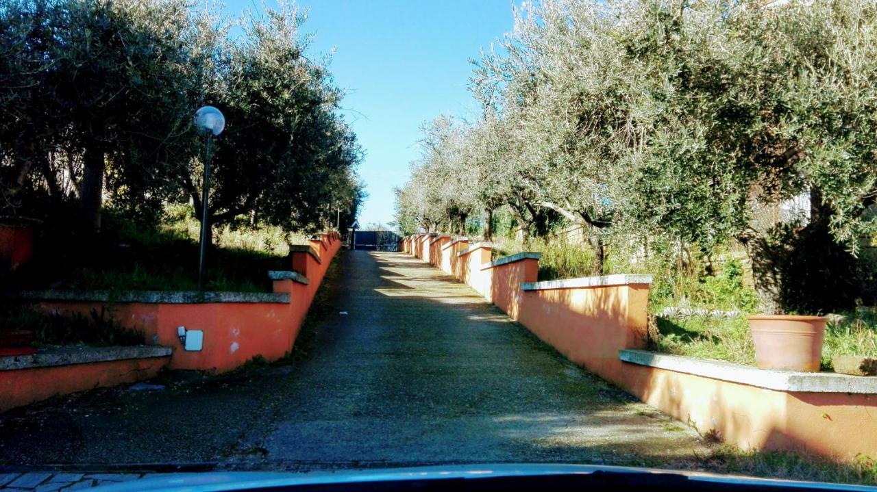 Locazione Turistica Dream House Marzia Casa de Férias