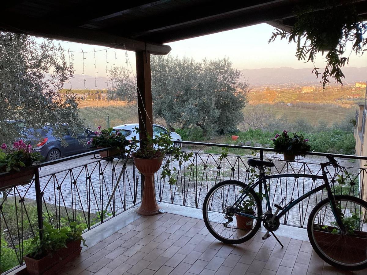 Casa vacanze Locazione Turistica Dream House Marzia Roma