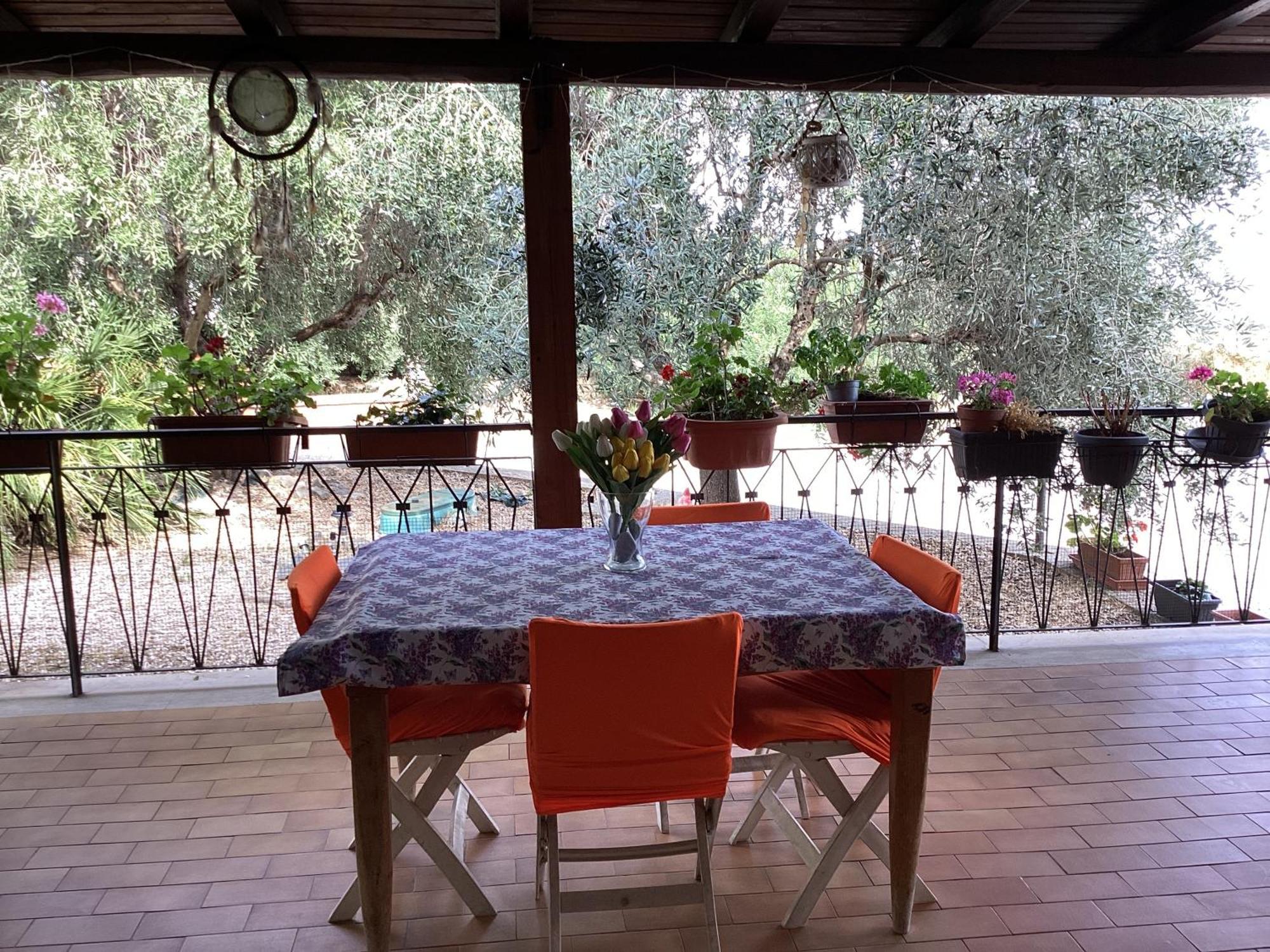 Locazione Turistica Dream House Marzia Roma