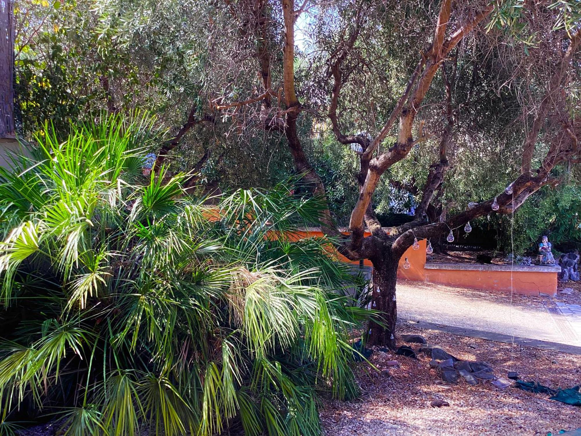 Casa vacanze Locazione Turistica Dream House Marzia