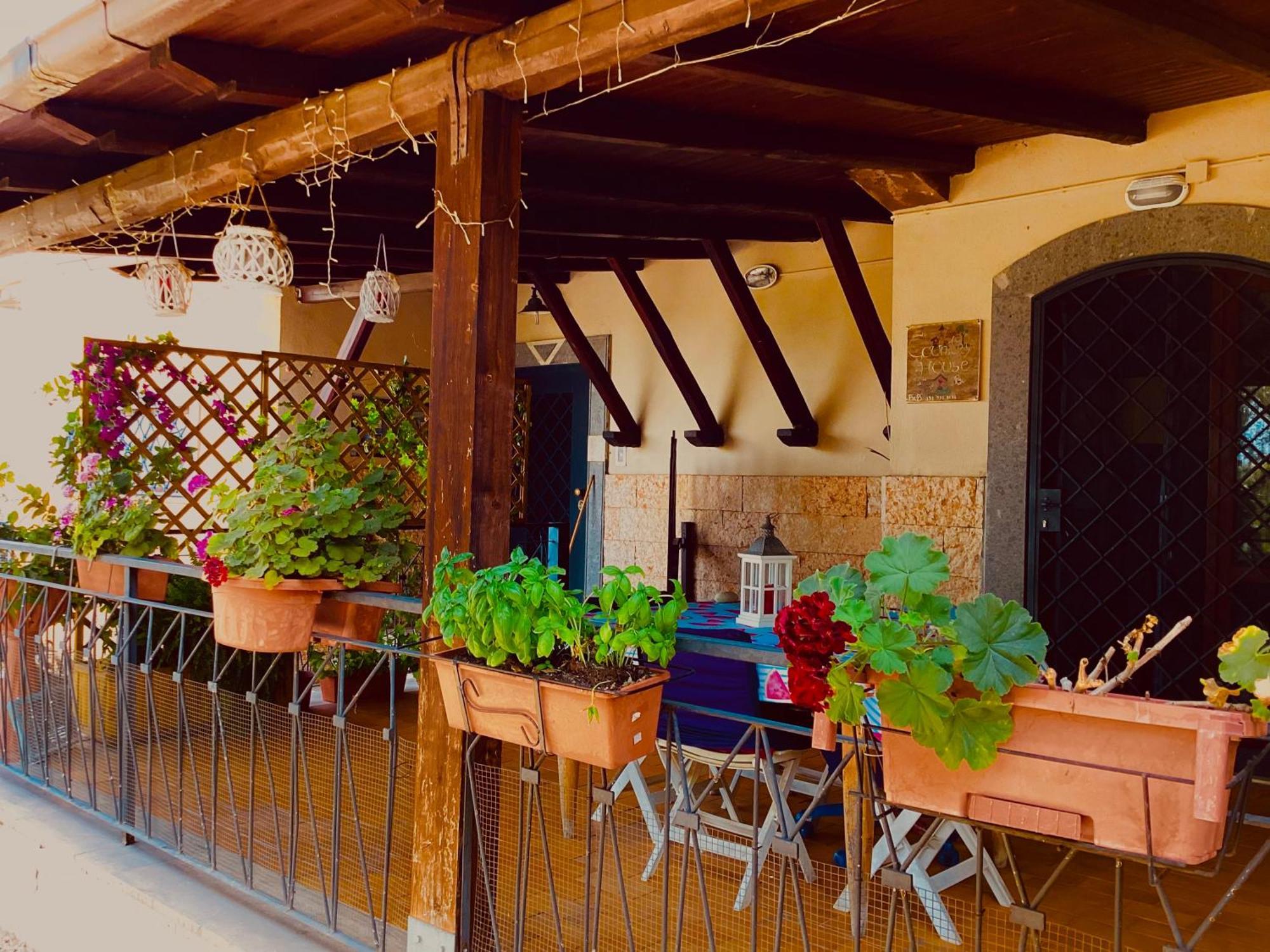 Locazione Turistica Dream House Marzia Casa vacanze *